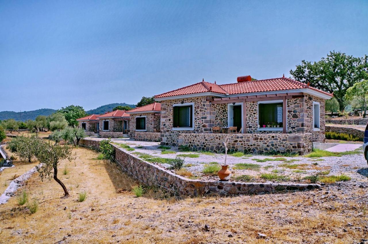 Ktima Kiourelioti Villa Skala Sykamineas Exterior photo
